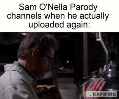 Breaking Sam (BB spoilers)