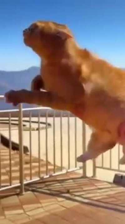 Look daddy, I'm swimming!