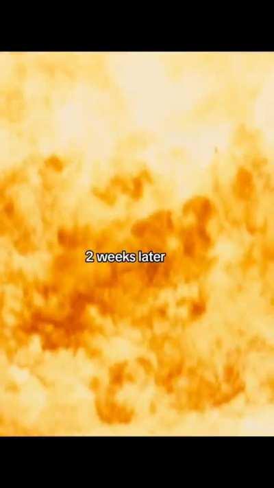 Average Friend Server