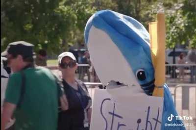 Idk if this is fake or nah but this shark is my hero