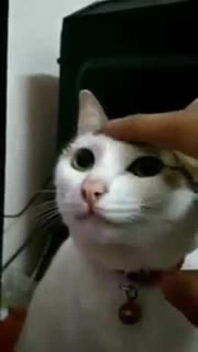 Обнова прилетела