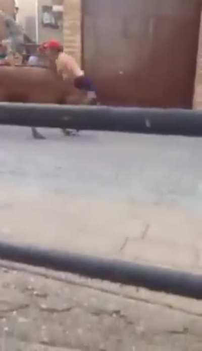 Awww, that's a-gore-a-bull.