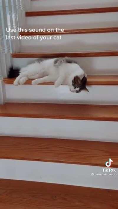 Spilled down the stairs