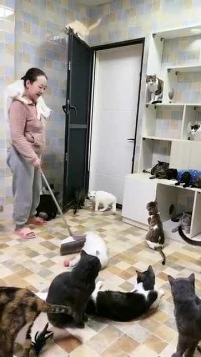 What's with the scarf..?