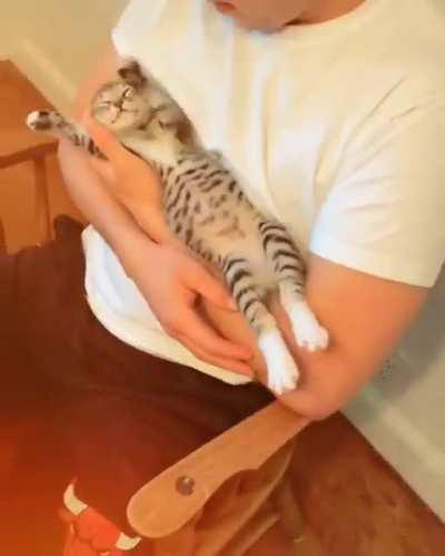 Kitty all stretched out in his arms
