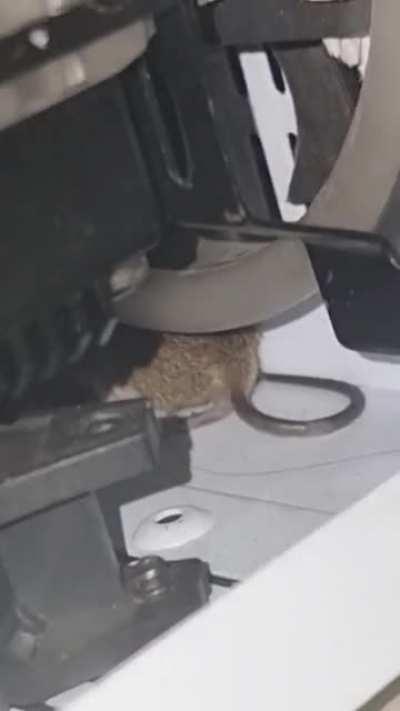 A friend sent me this