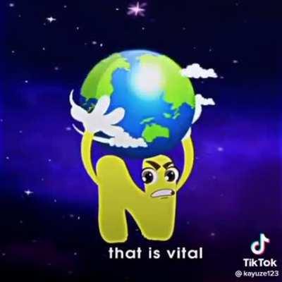 what do you need in your life