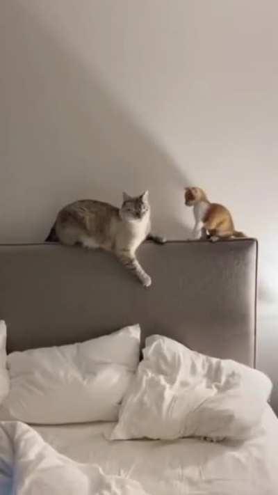 How To Implement Handshakes