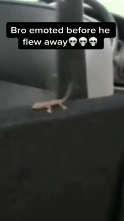 just nuke that goddaym