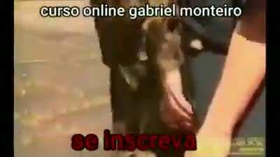 Aprendendo com nossa princesa de 1,60