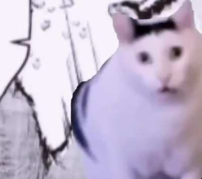 Chibi chibi chaba chaba 🎶