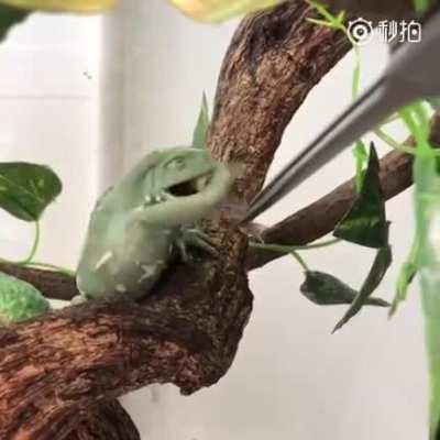 Do I look like a fan of this crap???