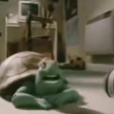 Alguien: (satura un meme) Dylan: