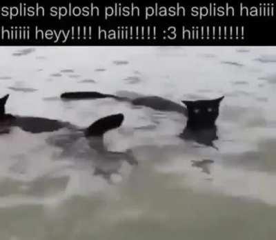 splish splosh plish plash splish haiiii hiiiii heyy!!!! haiii!!!!! :3 hii!!!!!!!! (not mine, I found this on tiktok by lolleiipup)