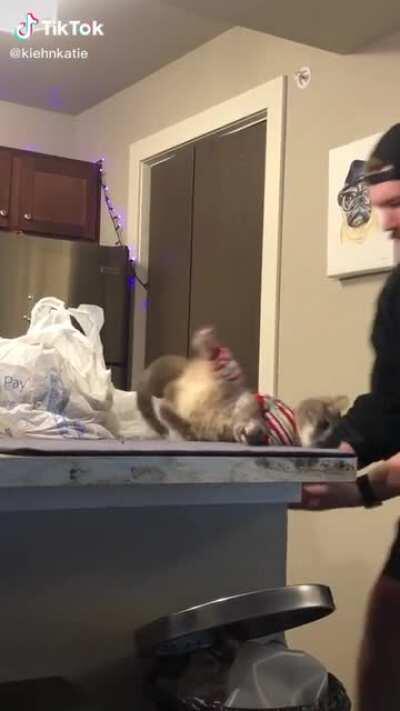 Man saves his cat from unaliving