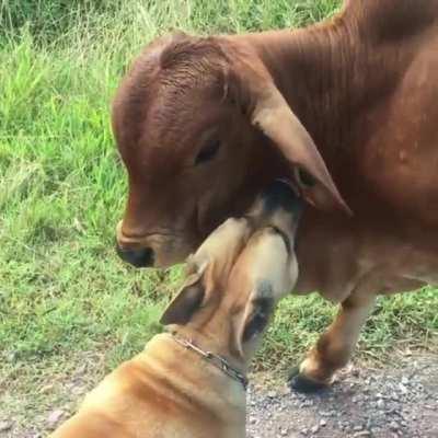 The love these to have for each other is beautiful