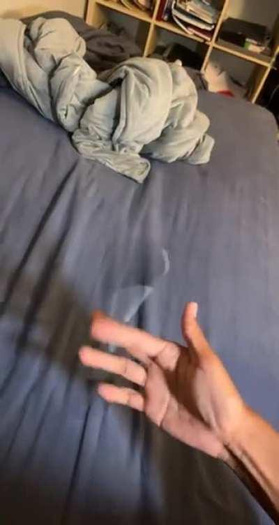 Cake day! Here’s a old fs on a light mod