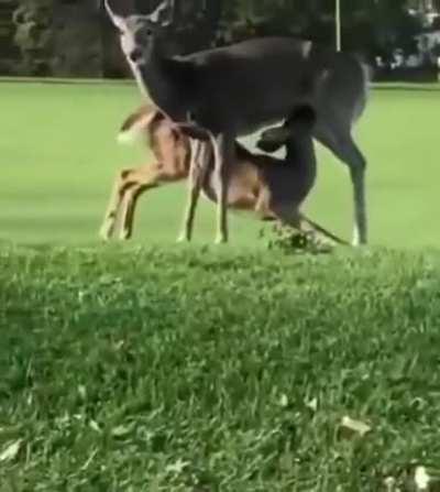 They&rsquo;re evolving