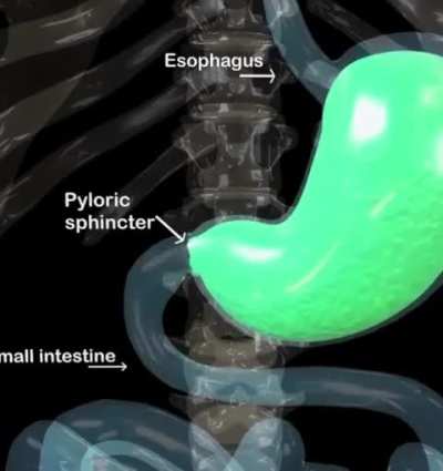 This is what happens when you vomit