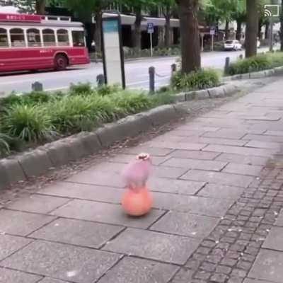 No hace falta de poner algo