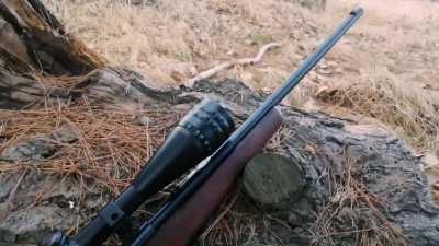 After so much paperwork in my country, I finally managed to get my very first firearm. SAVAGE 93 G / 22WMR. On video, the first shot! I'm super happy.