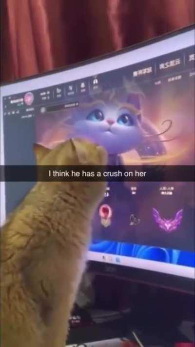 *Sigh* how do we tell him