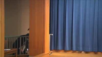 this is what we're dealing with