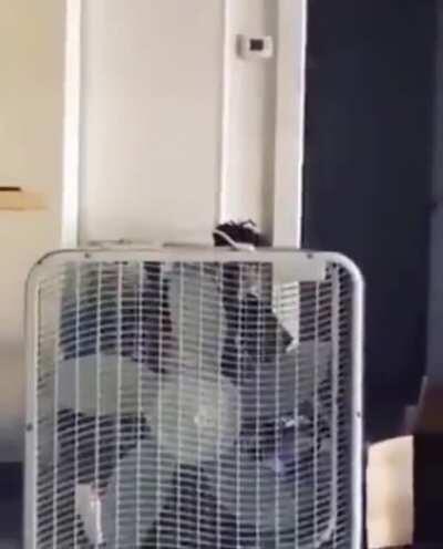 Guy nearly shooting himself in the head.