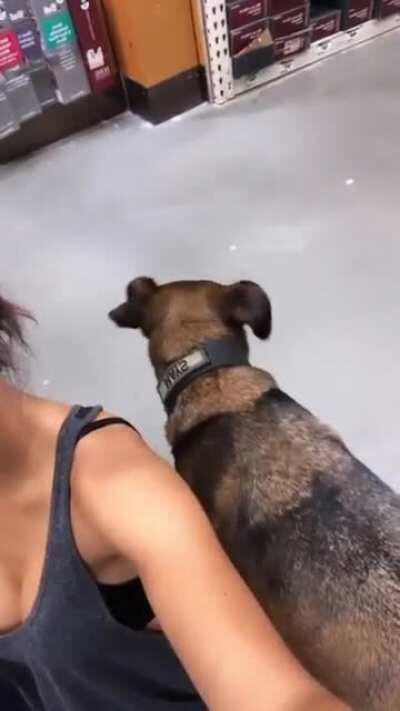 Tristin Mays - chilling with Sargent in Home Depot