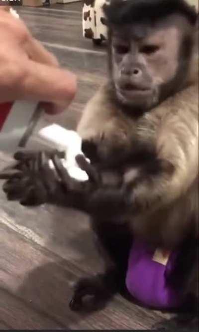 Orslok cuando no está en directo con el cromosoma XX