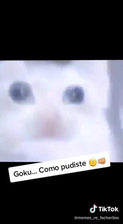 noooo goku como pudiste 😭😭😭👊