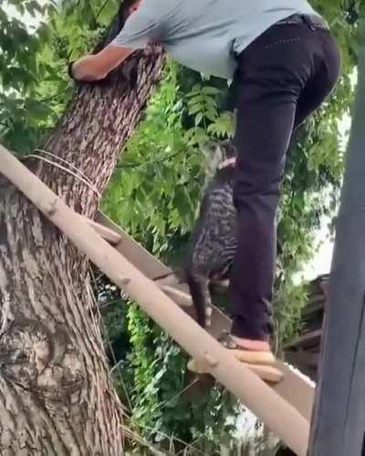 За то я спас кота, я выполнил приказ, ведь выполнить приказ первостепенно важно.©