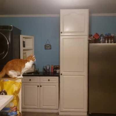 Careful catculation and catlibration is important!