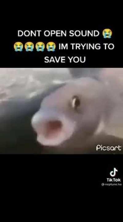 aa aa a aa aaaaaaaaaa