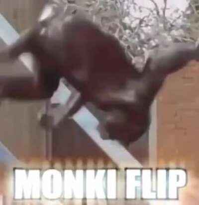 ULTRA MEGA HYPER EPIC COMBO FLIP