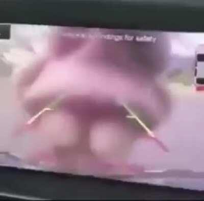 blursed backup camera