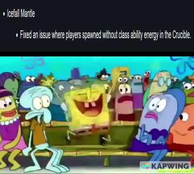 bungie actually did it they freaking fixed icefall mantle