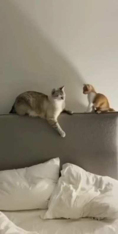 That's what you get kid