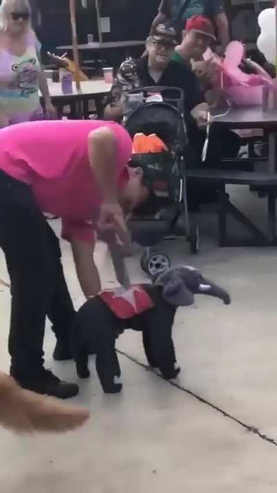 his dog is dressed up as a wind up elephant