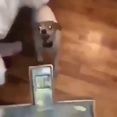 Me de ideias de titulo por favor