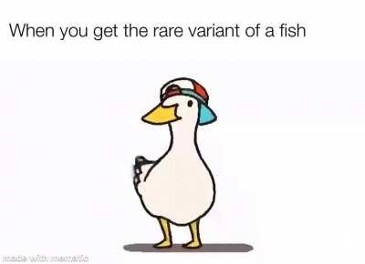 The most joy a human shall ever experience