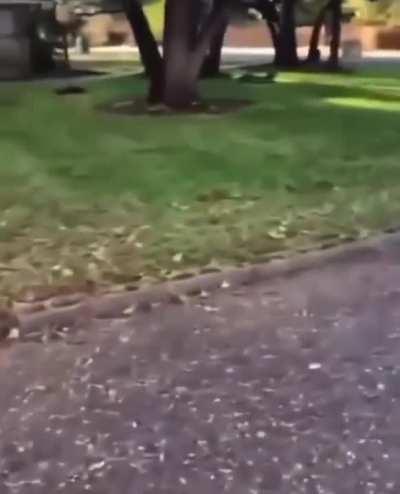 me when Anton added the cinder block