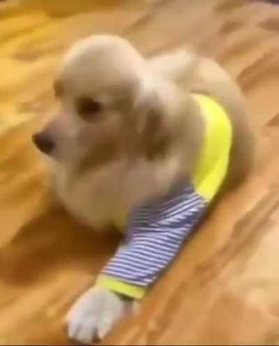 The video of the day …