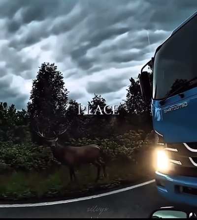 I have been enchanted!