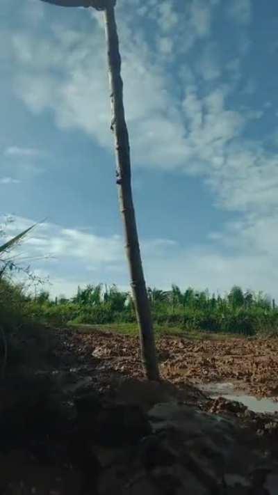 HMB (and my camera) while i pole vault this whole road with a rotten stick