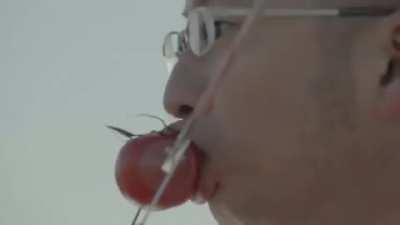 Just serving tomatoes to my dear friend...