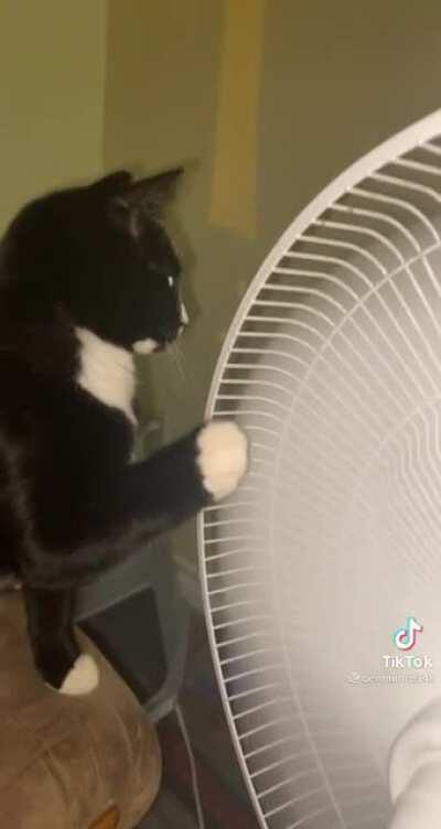 He used to be a helicopter pilot during the war, it's all coming back to him