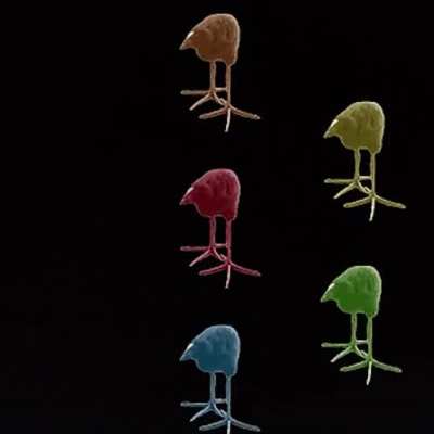 DETERMINATION!!!!!!!!!