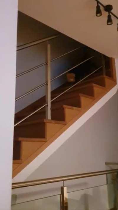 The plush people need this plush