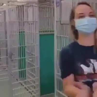 For the first time in history, this Palm Beach animal shelter is empty. ALL dogs were adopted. I would LOVE to see shelters all over the globe like this. Please consider adopting when you’re looking for a pet.